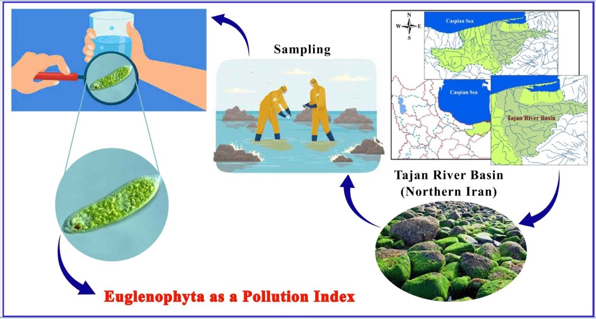 Ecological analysis of Tajan River (Northern Iran) based on Euglenophyta population and pollution index of water samples 